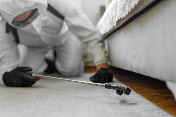 Professional Termite Control technician working in Deer Park, WA