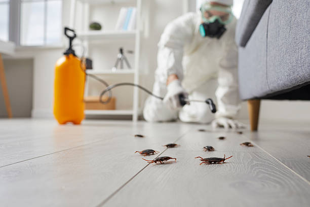 Trusted Rodent Control service in Deer Park, WA - Nex Pest Control