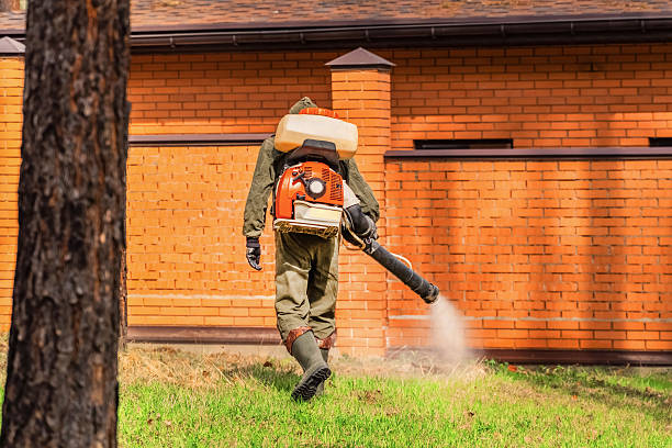 Trusted Termite Control service in Deer Park, WA - Nex Pest Control
